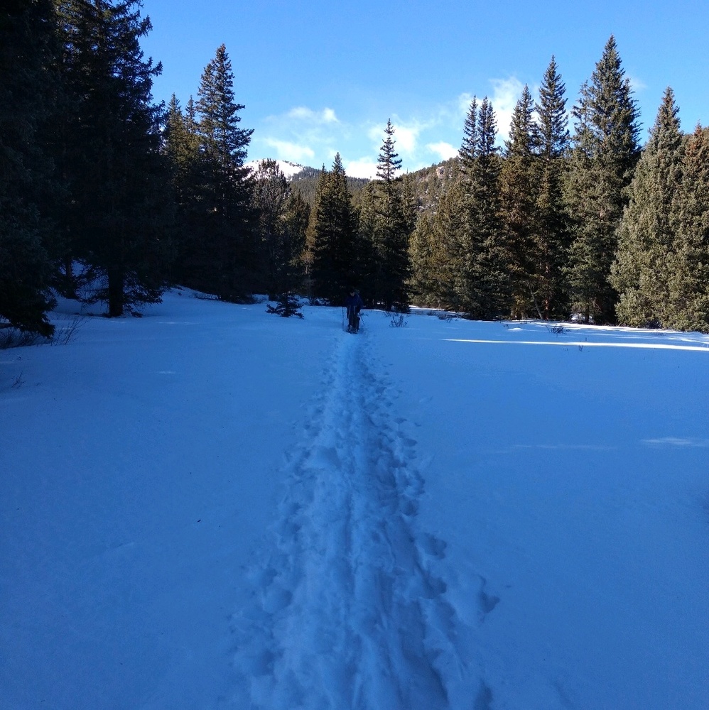 Meet your Posher, Cheri